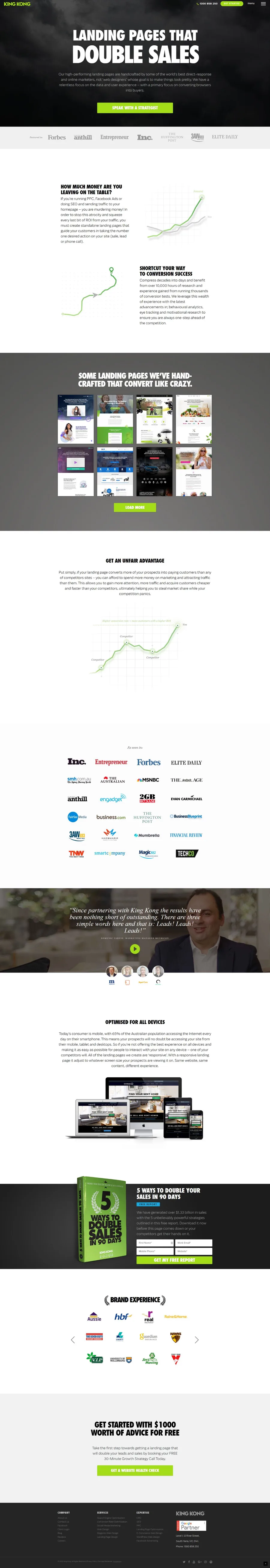 King Kong Services Landing Pages